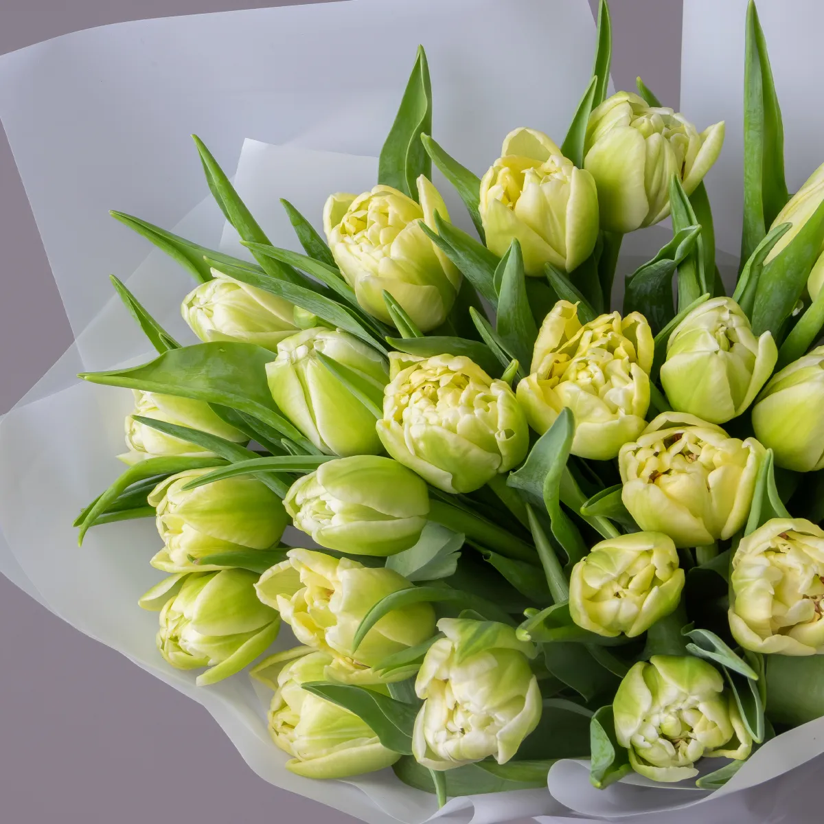 Букет Тюльпан "Ду Авант Гард"_3