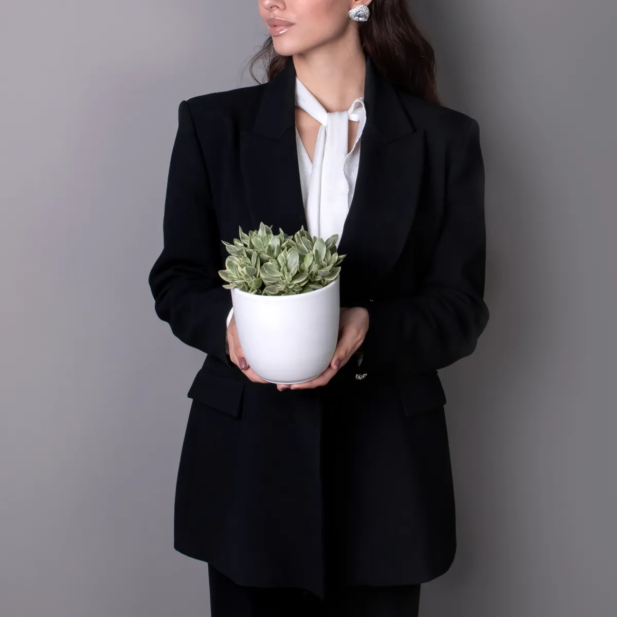 Крассула Вариегата Расби_2