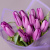 Флористический букет «Тюльпан, 15 шт, Сиреневый»_4