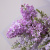 Букет Сирень 
