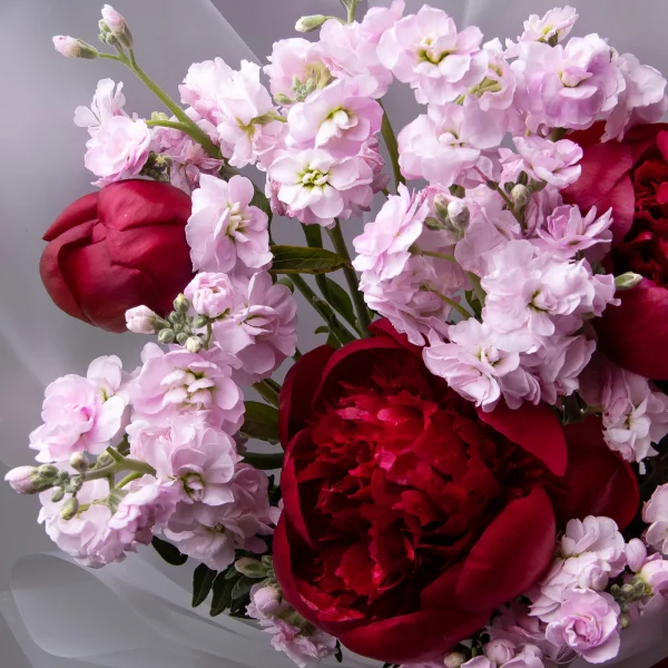 Флористический букет "Дуобукет из винного пиона и маттиолы"_4