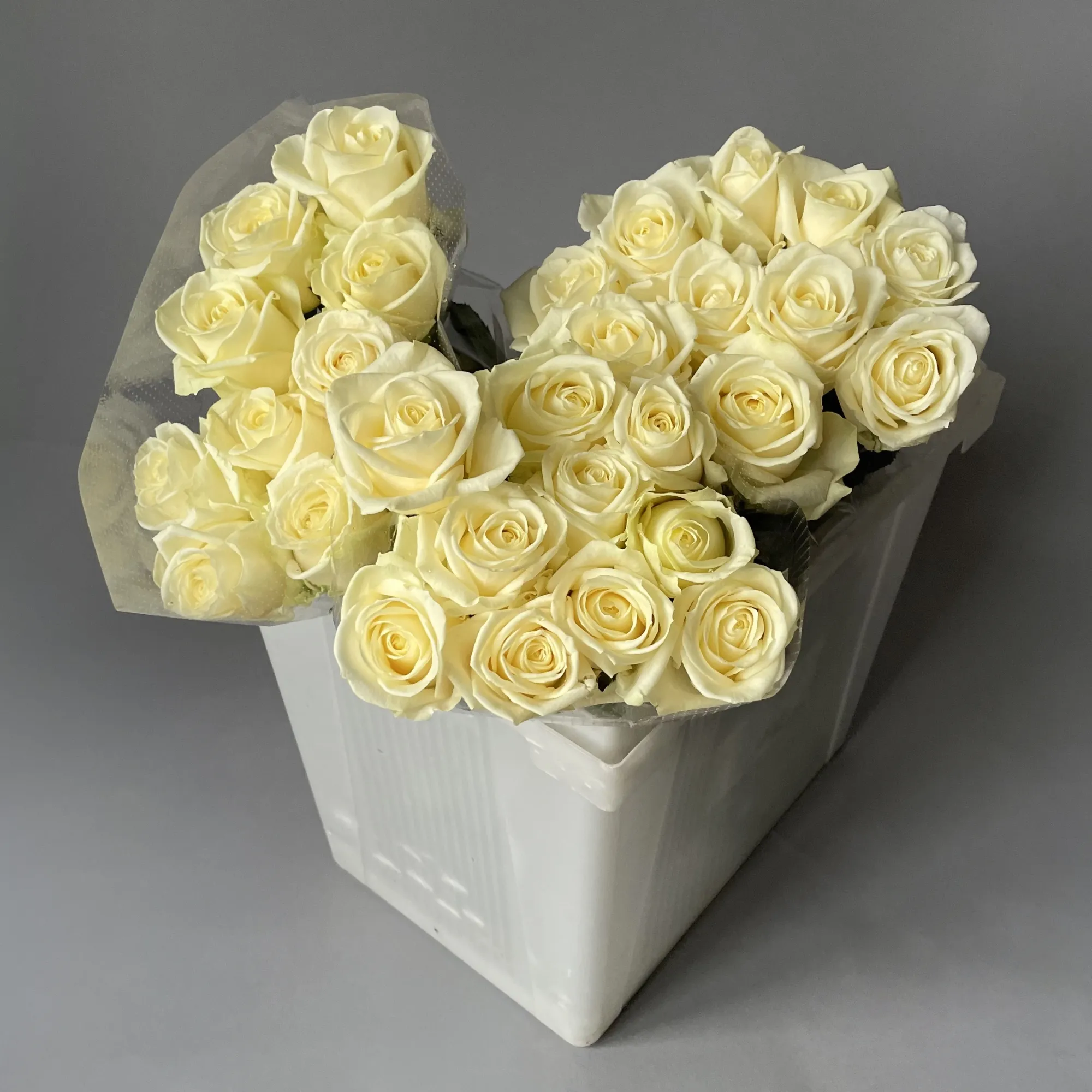 Роза "Аваланш"