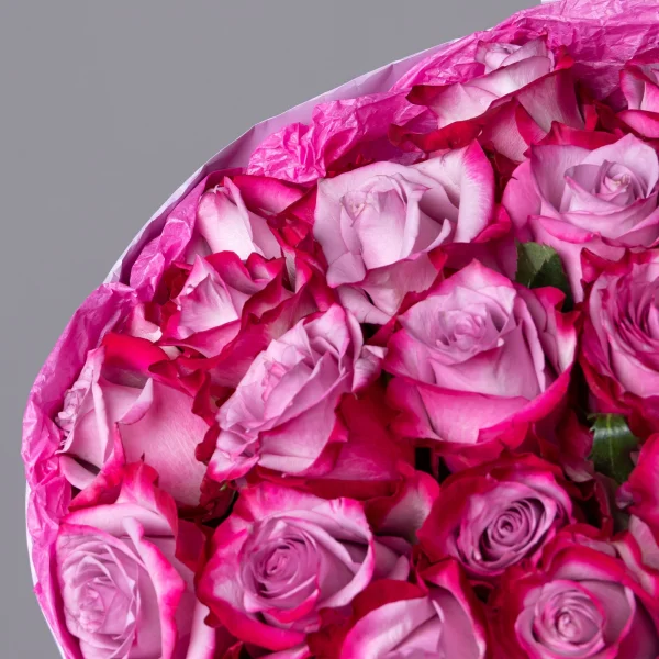 Букет Роза "Дип Перпл"_3