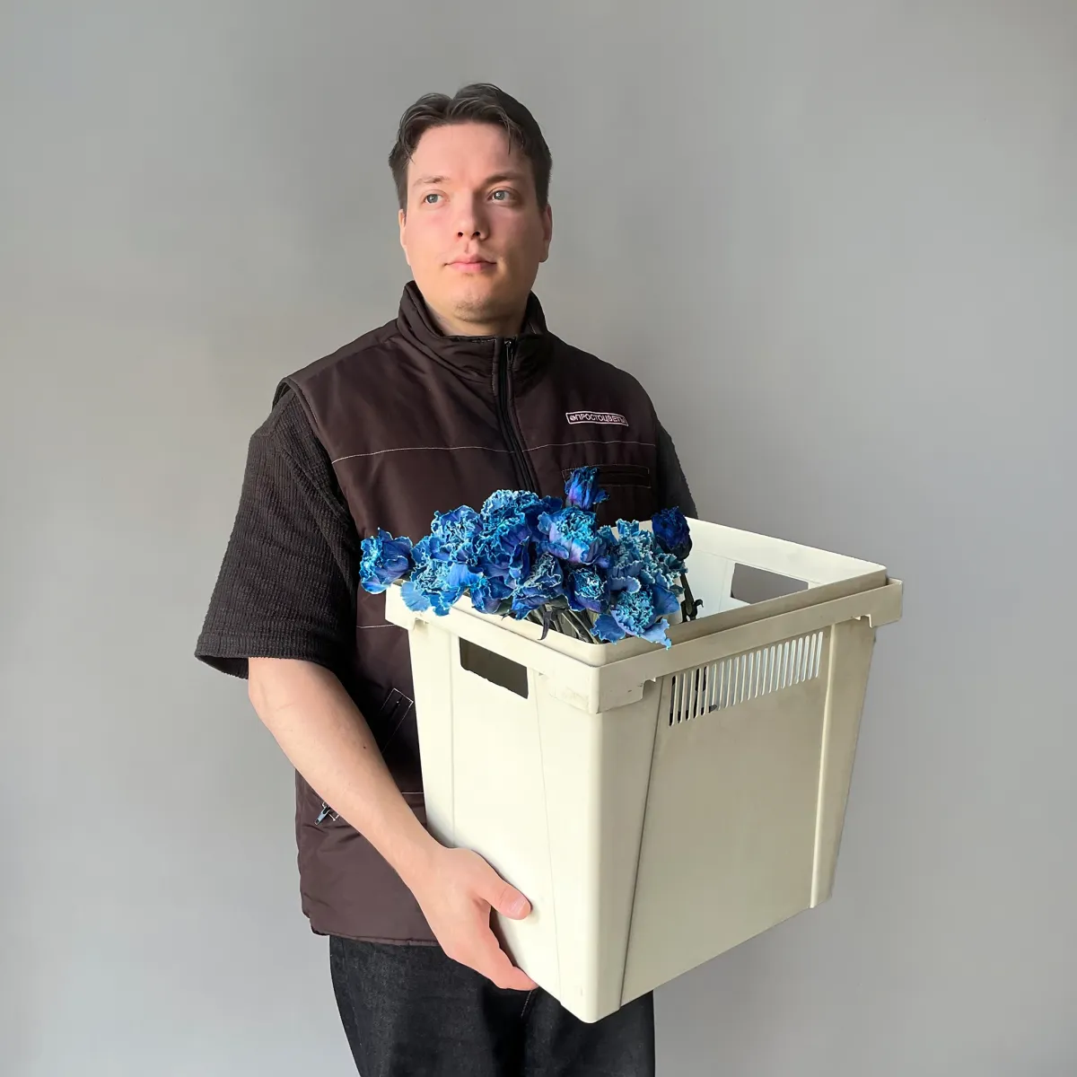 Гвоздика "Тинтед Блу"_2