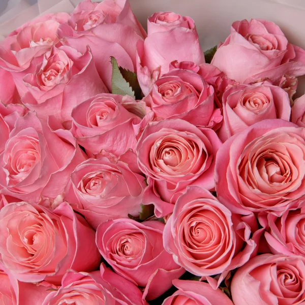 Букет Роза "Эрмоза"_4