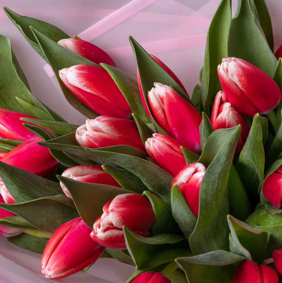 Букет Тюльпан "Эн Оутфит"_4