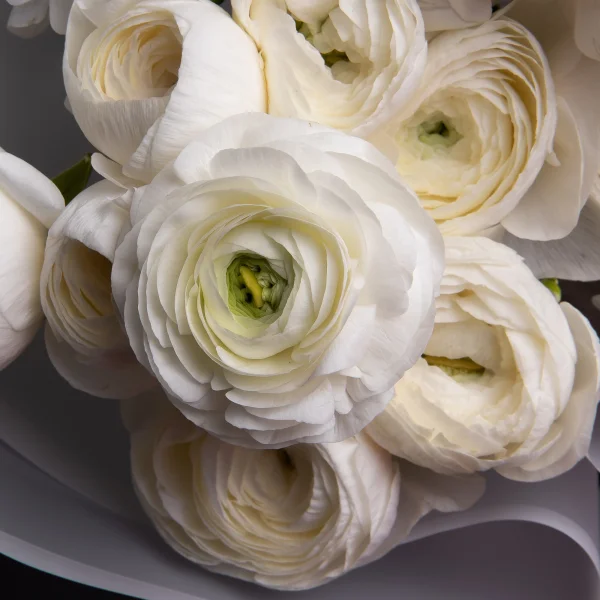 Букет Ранункулус "Элеганс Белый"
