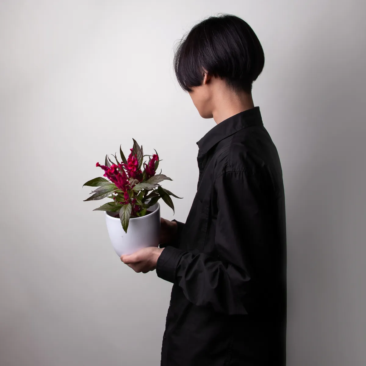 Целозия Хот Топик Пинк лабель2