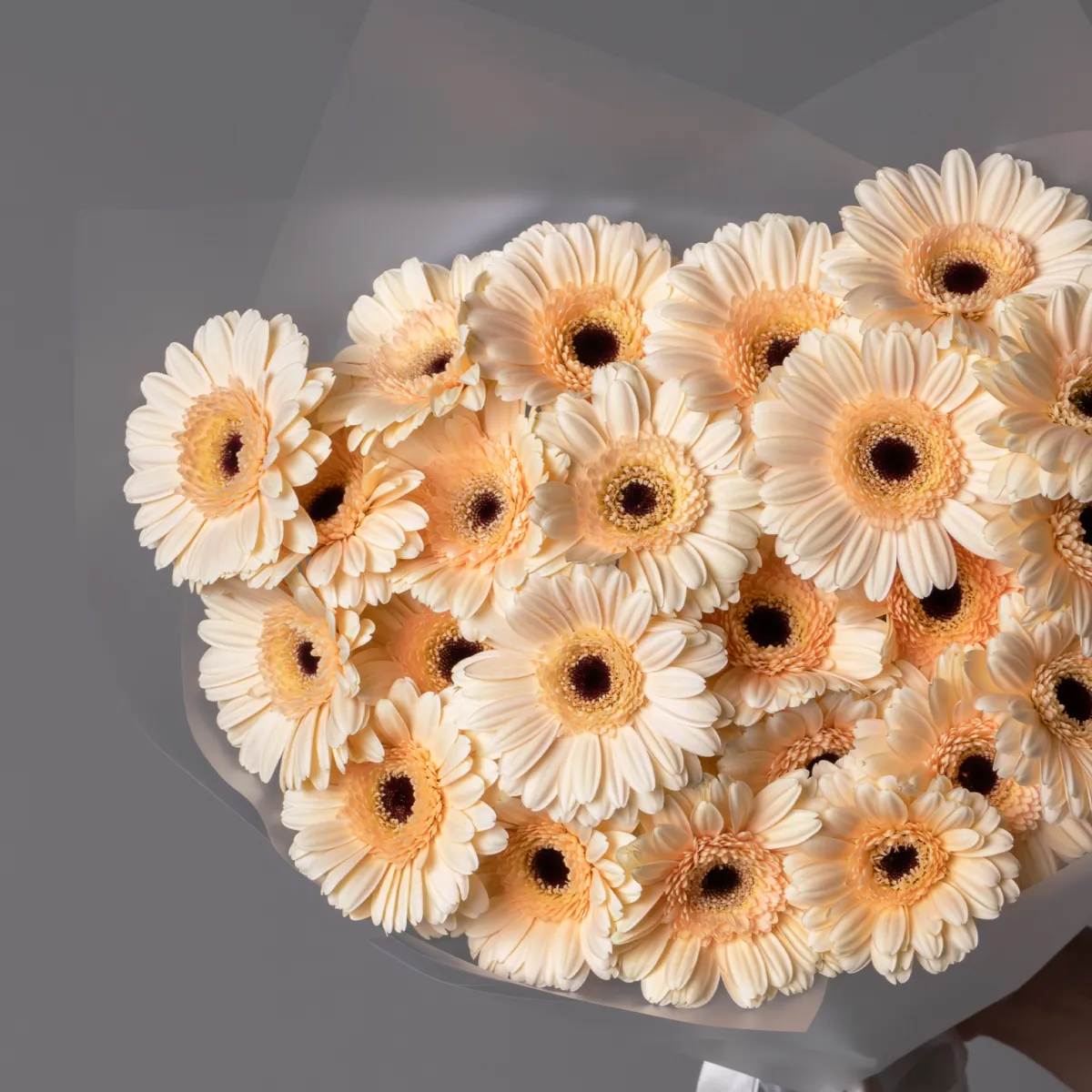 Букет Гермини "Кафе"_3