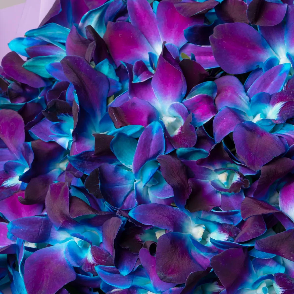 Флористический букет "Космические орхидеи 35 шт"_4