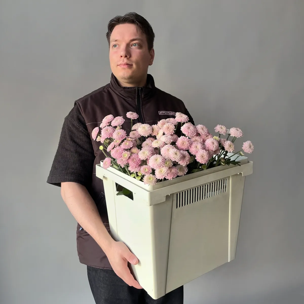 Хризантема сантини "Элисон Смоки"_2