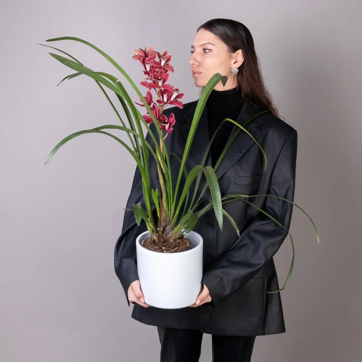 Цимбидиум Микс 1ст_2