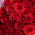 Букет Роза 