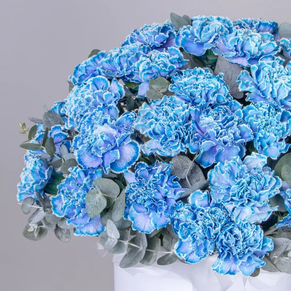 Композиция "Шляпная коробка Голубые Диантусы" XL_3