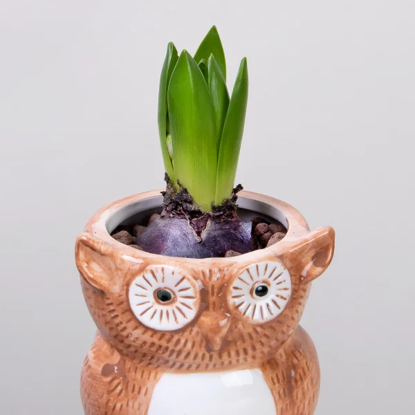 Гиацинт в керамике сова РРр3