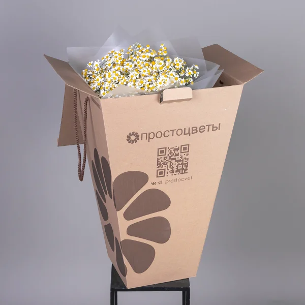 Букет Матрикария "Сингл Вигмо"_5