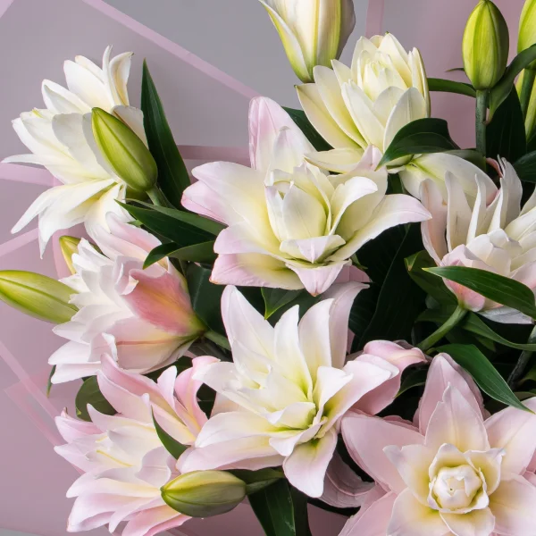 Букет Лилия "Ор дбл Амистад"_4