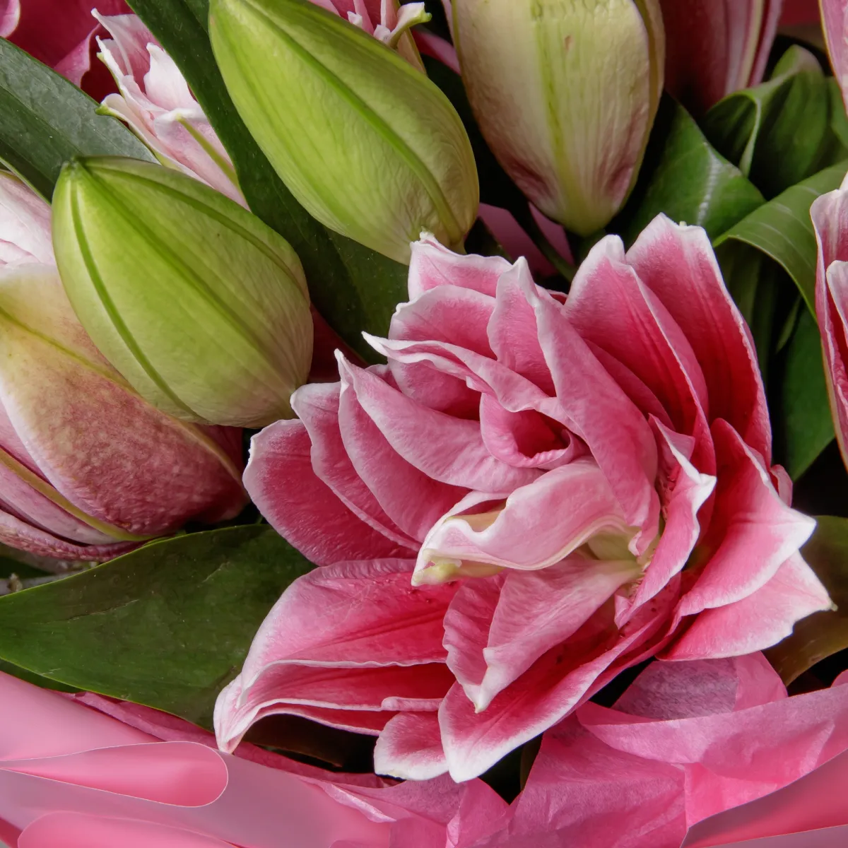 Букет Лилия "Ор Роузлили Анушка"_4