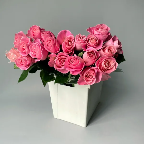 Роза "Эрмоза"_1