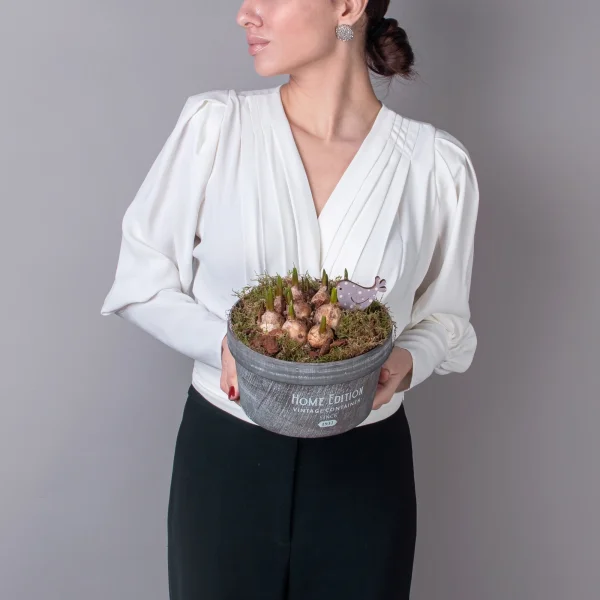 Мускари в зеленом кашпо Home Edition PTMB1095_2