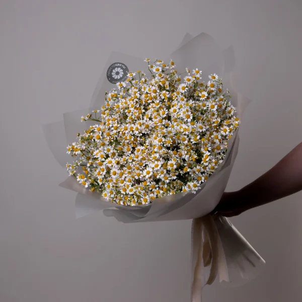 Букет Матрекария "Сингл Вигмо"