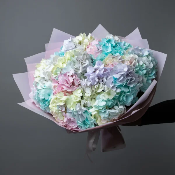 Букет Гидрангия "Рейнбоу Микс"