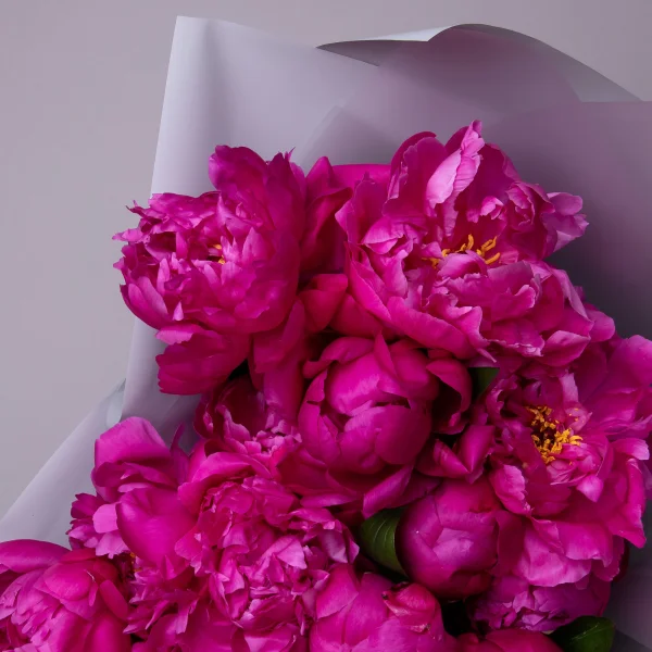 Букет Пион "Ред Бернард"