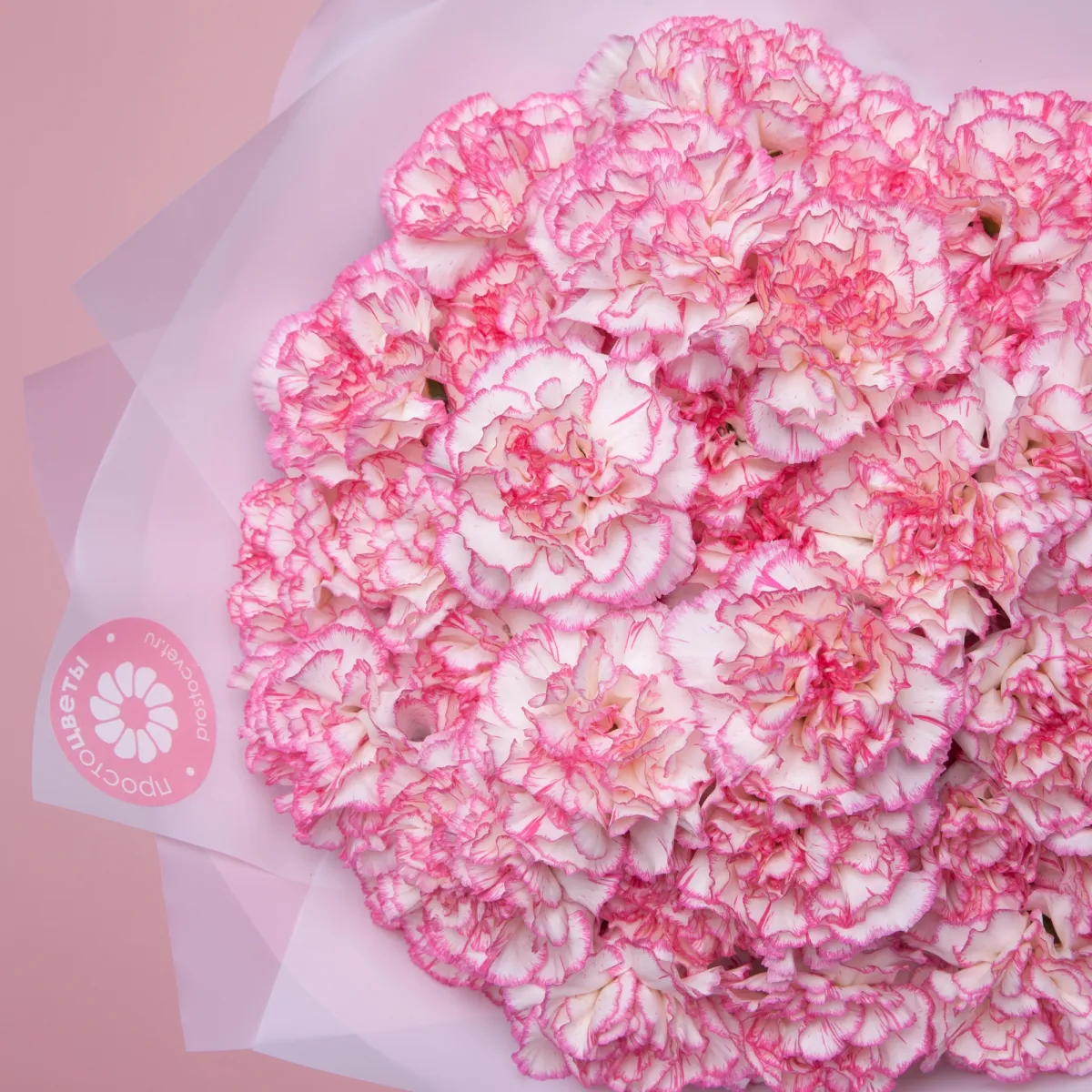 Букет Гвоздика "Микс"