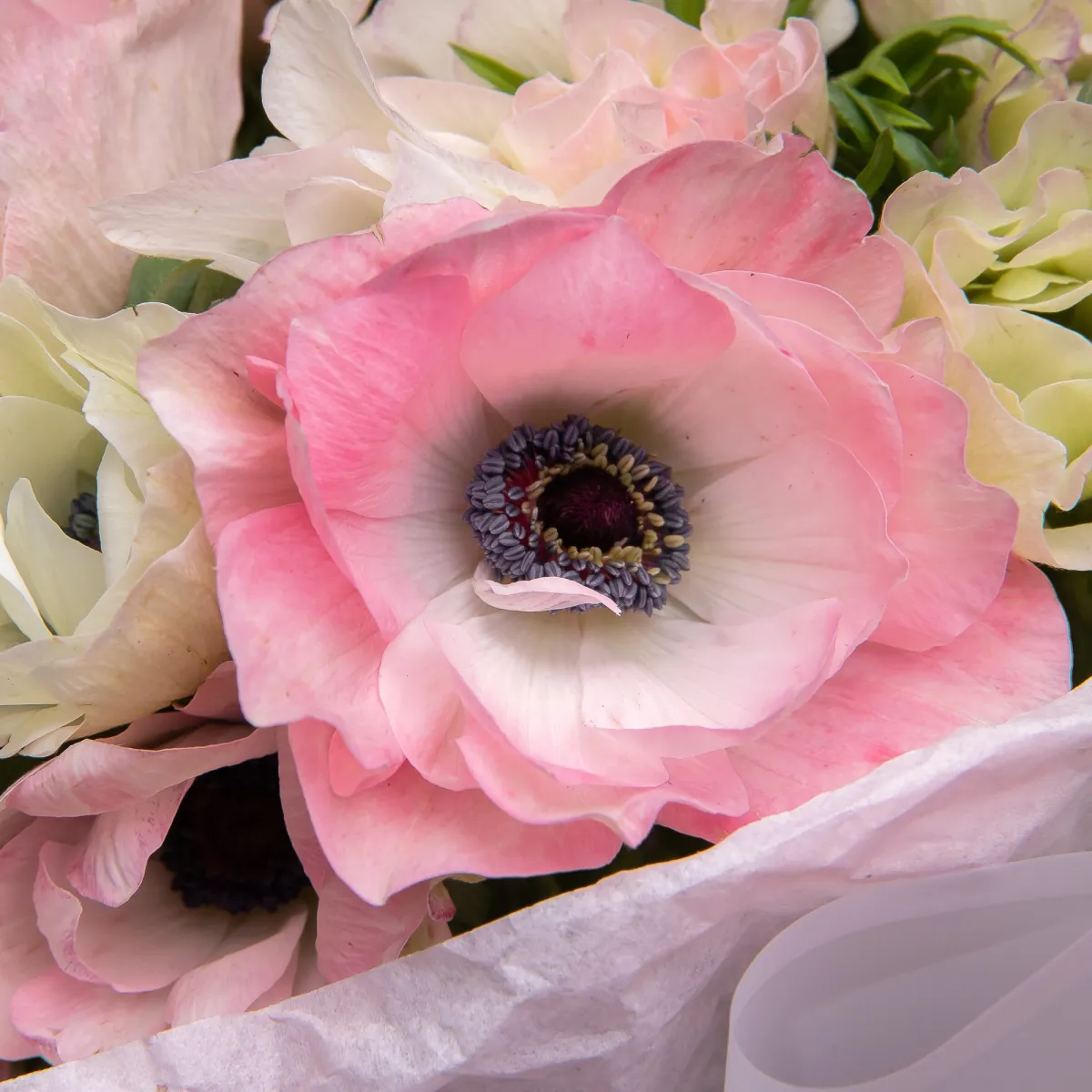 Букет Анемон "Мистрал Плюс Белый"