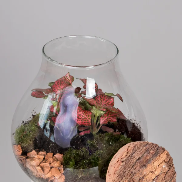 Плант Микс Террариум в стекле Колба_4