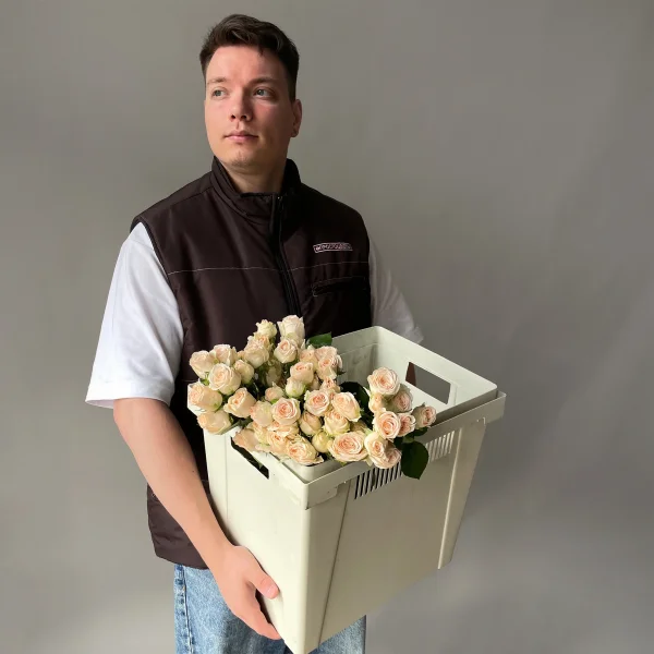 Роза кустовая "Софи"_2