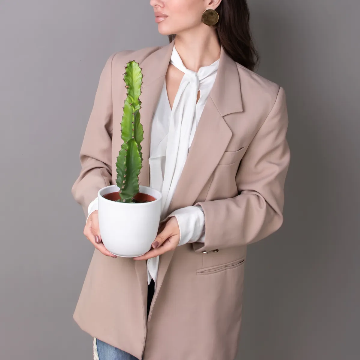 Опунция Консолея Рубесценс_2