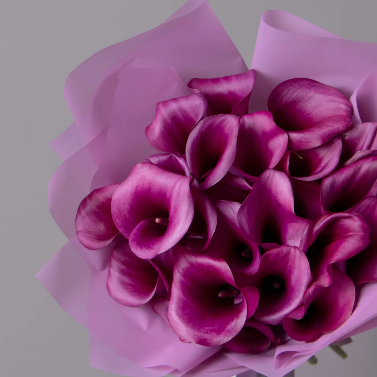 Букет Калла "Дурбан"_3