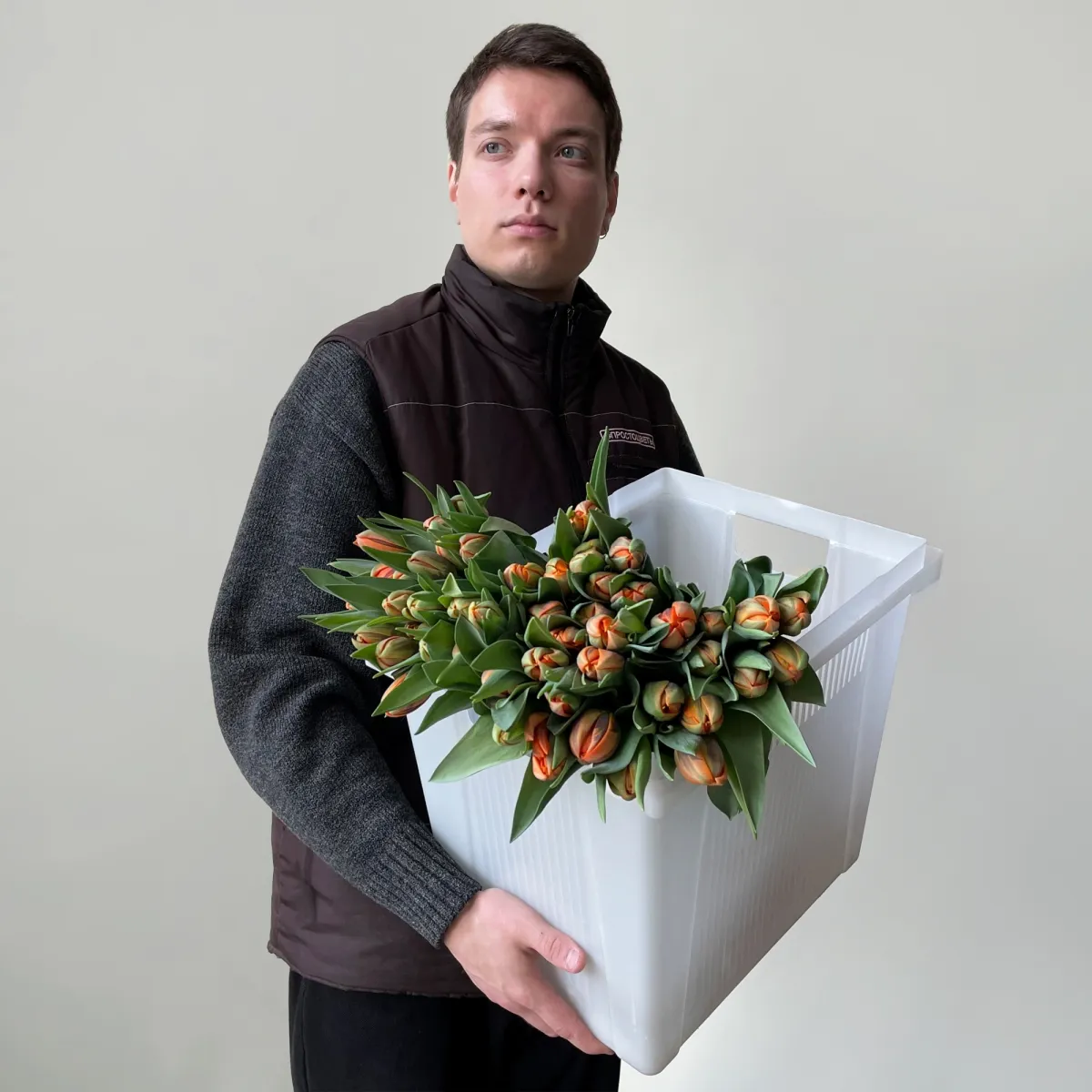 Тюльпан "Ду Оранж Принцесс"