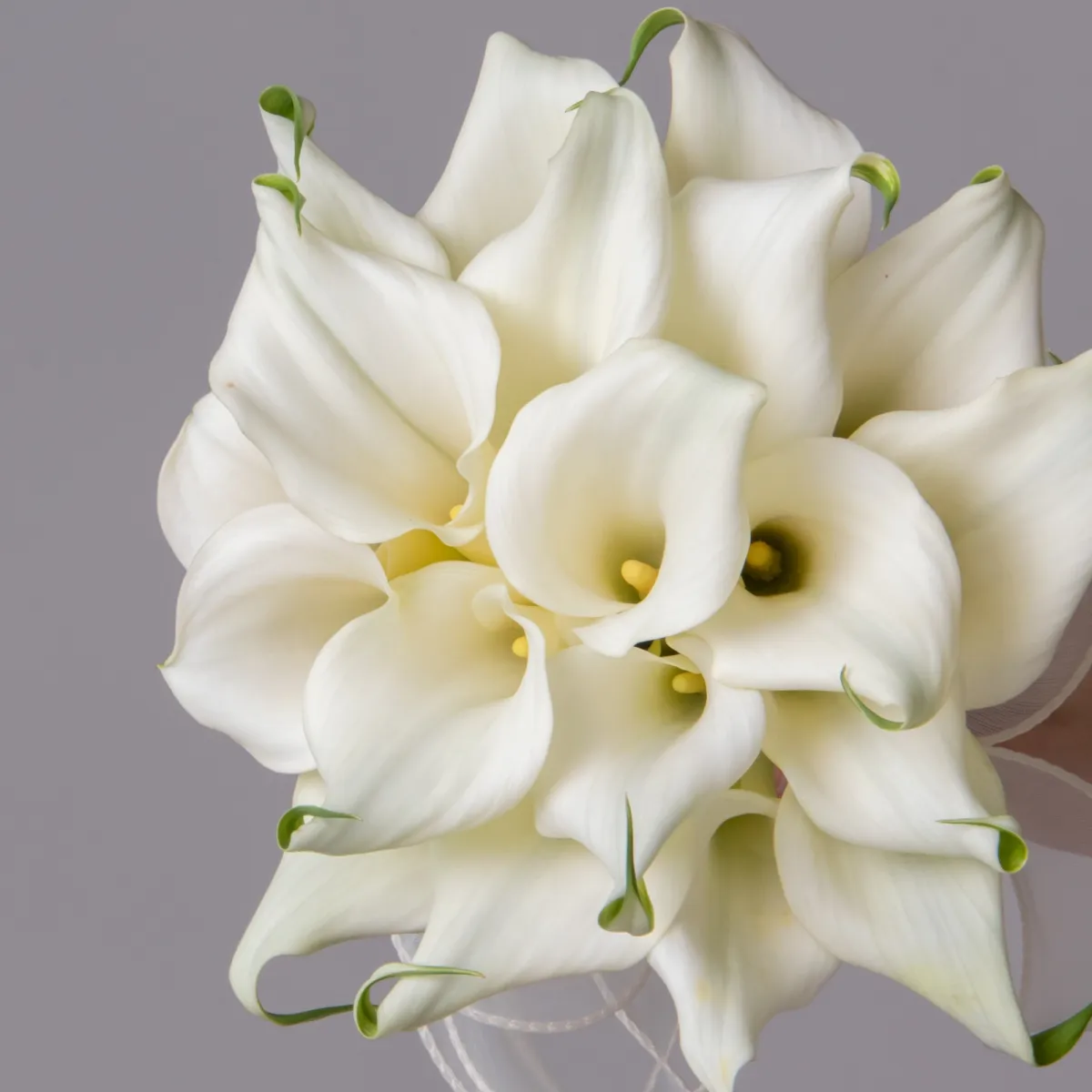 Букет невесты 8_4