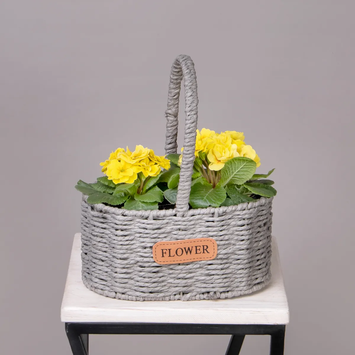 Примула Желтая в Серой двойной корзине_1