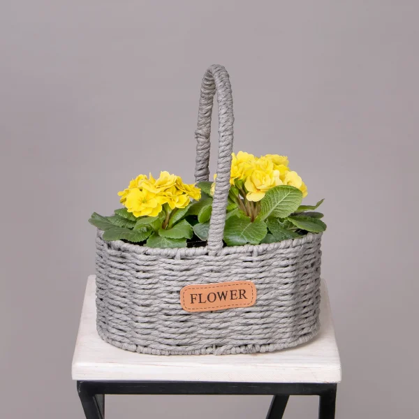 Примула Желтая в Серой двойной корзине_1