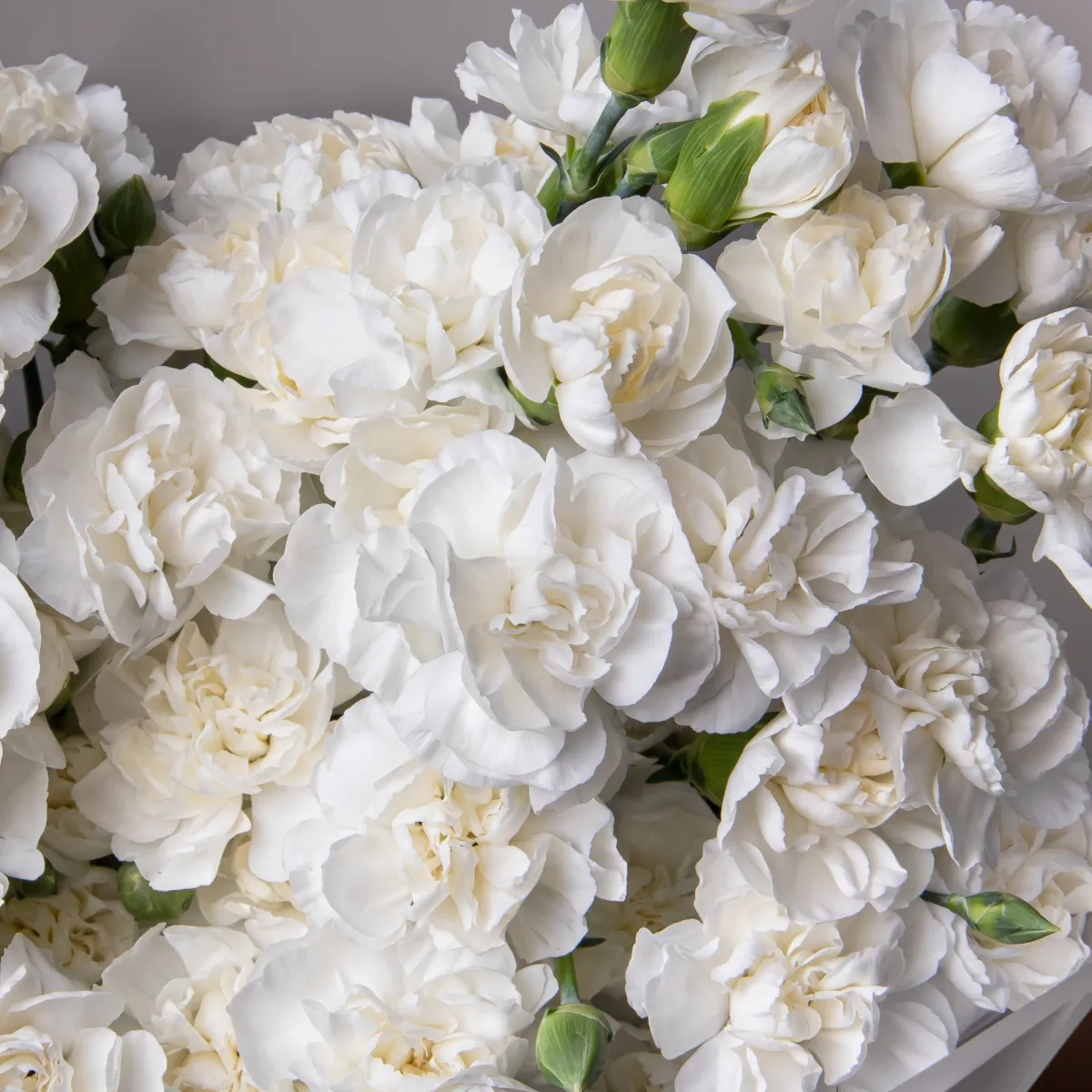 Букет Гвоздика кустовая "Белая"_4