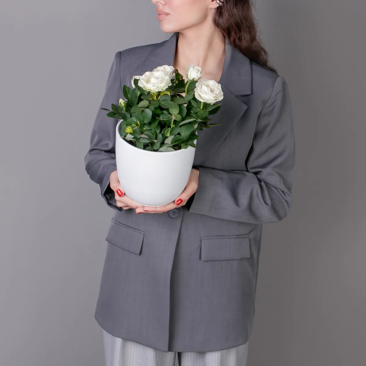 Роза Инфинити Белая_2