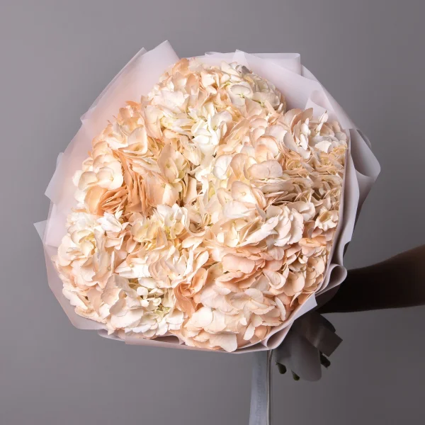 Букет Гидрангия "Пич"_1