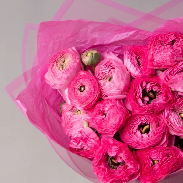 Букет Ранункулус "Элеганс Хот Пинк"_3