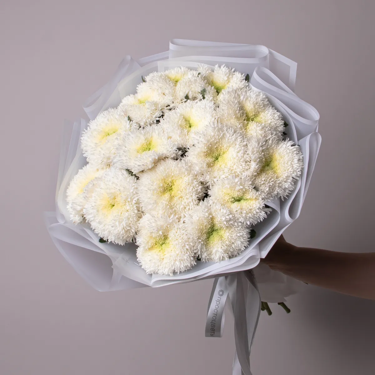 Букет Хризантема одноголовая "Этруско Вайт"_1