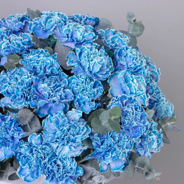 Композиция "Шляпная коробка Голубые Диантусы" XL_4