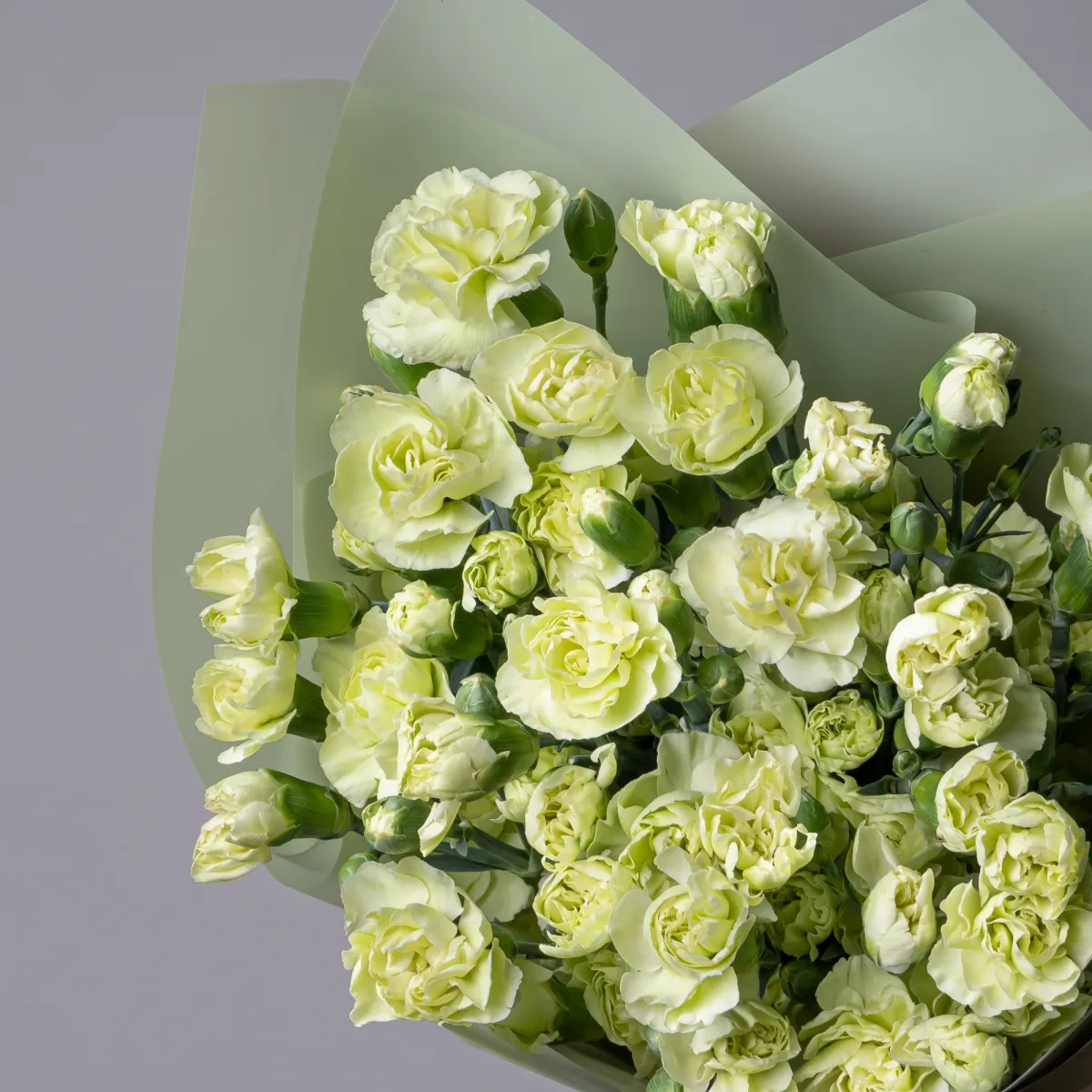 Букет Гвоздика кустовая "Грин"_3