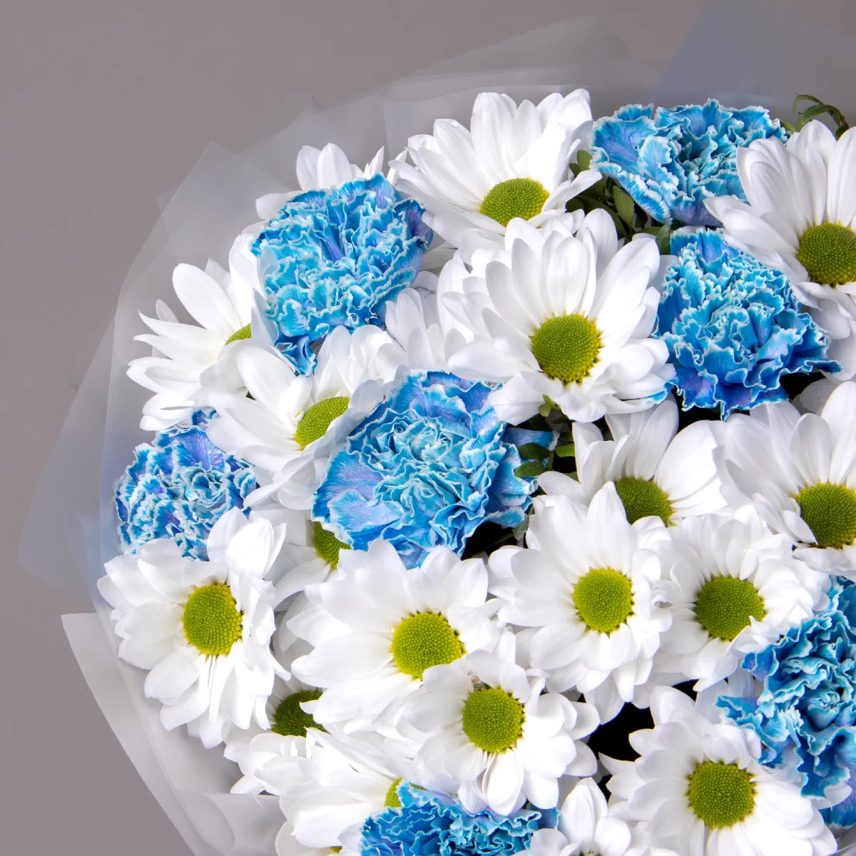 Флористический букет "Дуобукет из голубой гвоздики и белой кустовой хризантемы"_3