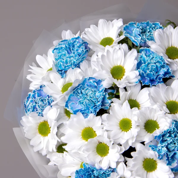 Флористический букет "Дуобукет из голубой гвоздики и белой кустовой хризантемы"_3