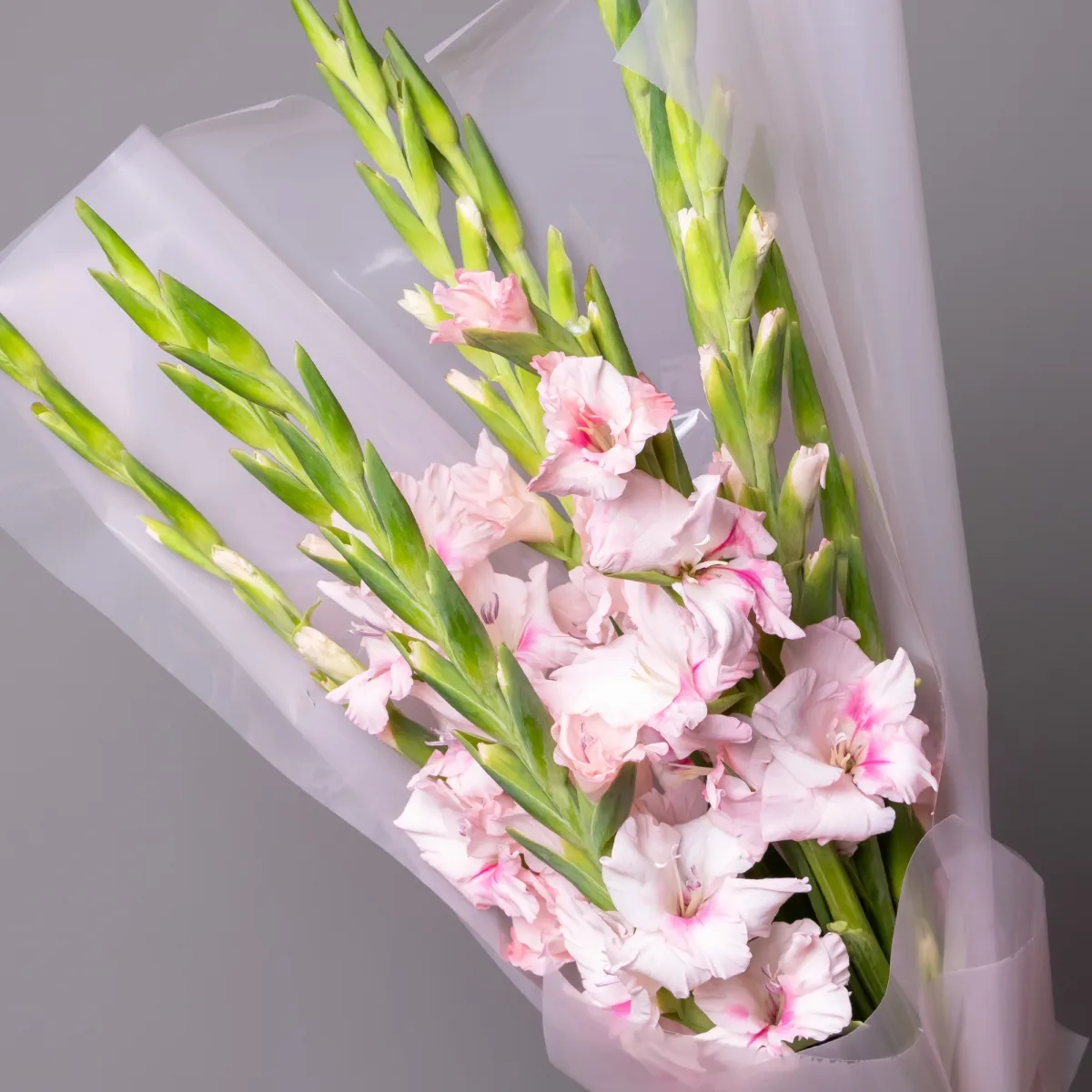 Букет Гладиолус "Адреналин"_4