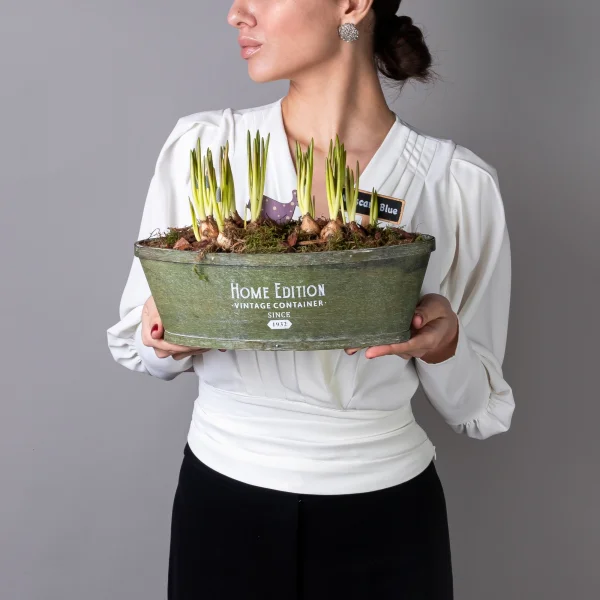 Мускари в зеленой лодочке PTMB1093_2