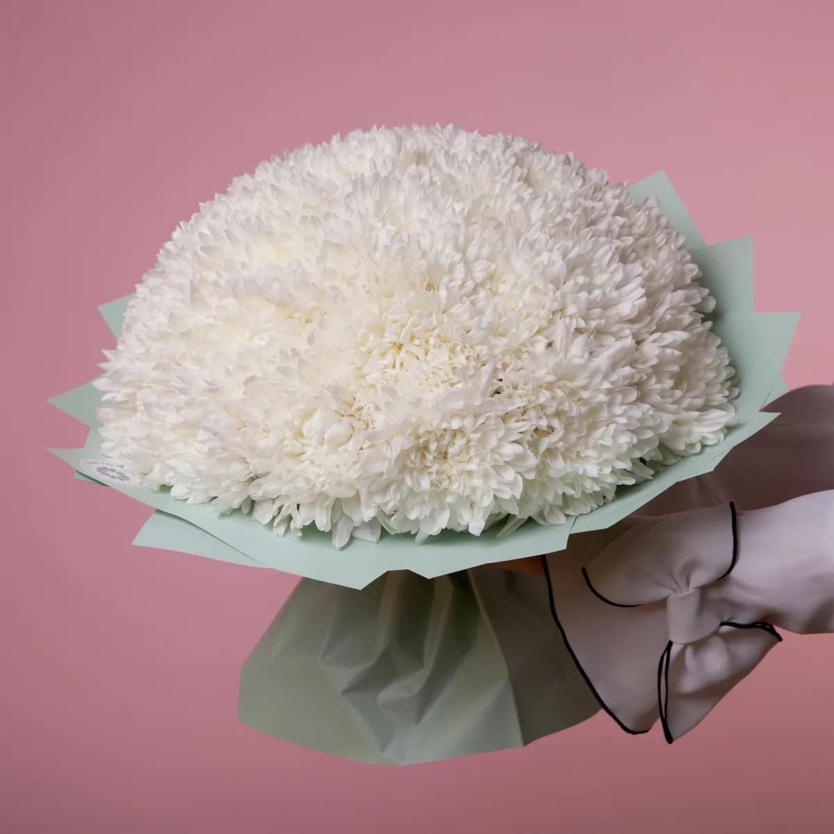 Букет Хризантема_одноголовая "Антонов"