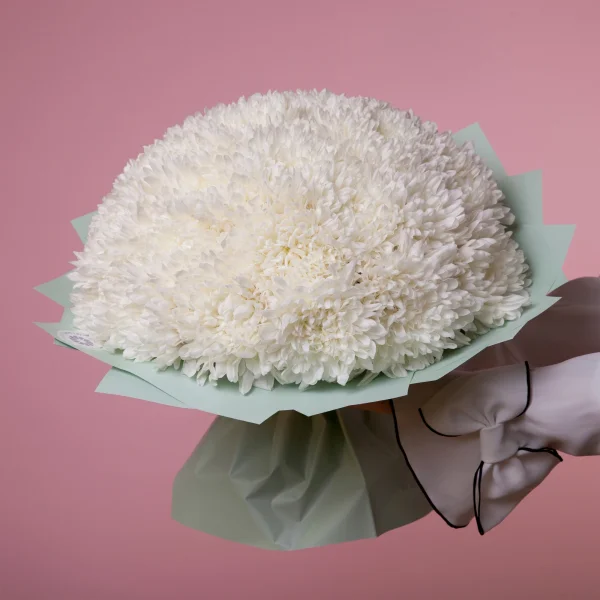 Букет Хризантема_одноголовая "Антонов"